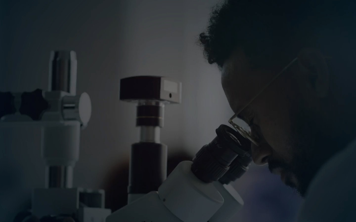 新政　PRIVATE LAB EXTREME 日本酒 2023・2022 新政酒造 特別頒布会 2024 PRIVATE LAB EXTREMEⅡ | 定価並で